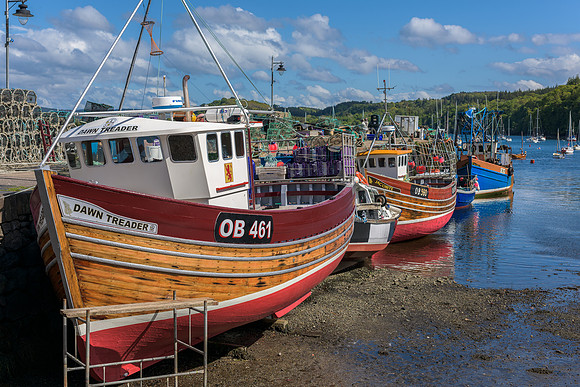 Fishing Boats in Tobermory Harbour