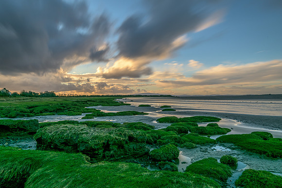 Solway Coast