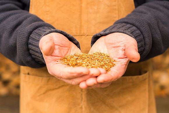 Baker with a handful of seeds