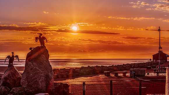 Stone Jetty Sunset - Coromorants