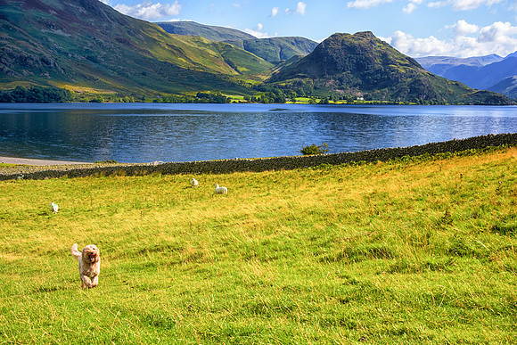 Loweswater