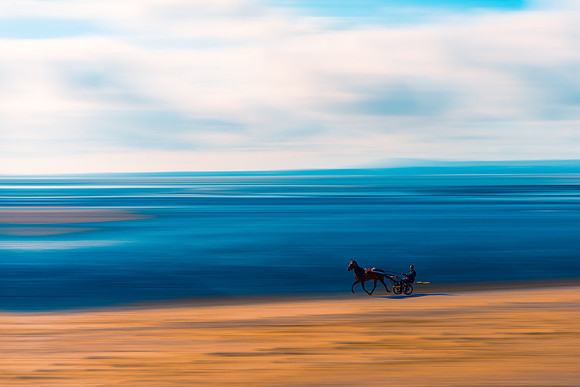 Trotting Morecambe Bay
