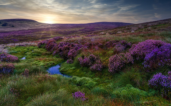 Trough of Bowland