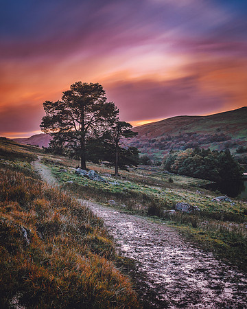 Wet Sleddale