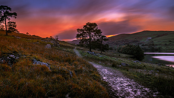 Wet Sleddale (Landscape)