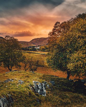 Autumn colours in the Shap Valley