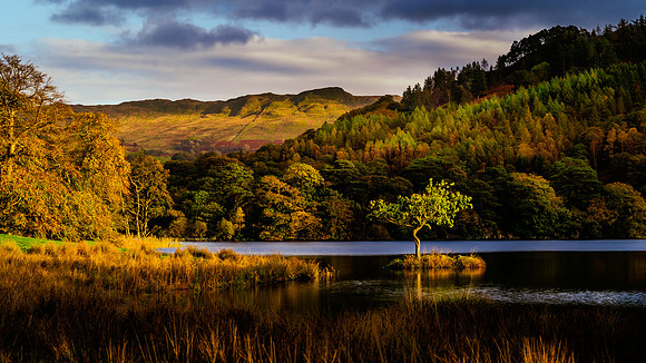 Rydal Water Landscape