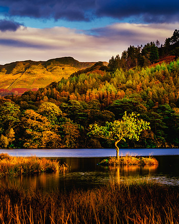 Rydal Water
