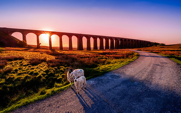 Ribblehead Viaduct